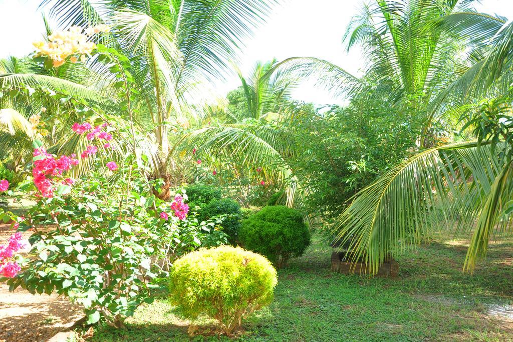 Hotel Coconut Garden House Udawalawe Exterior foto