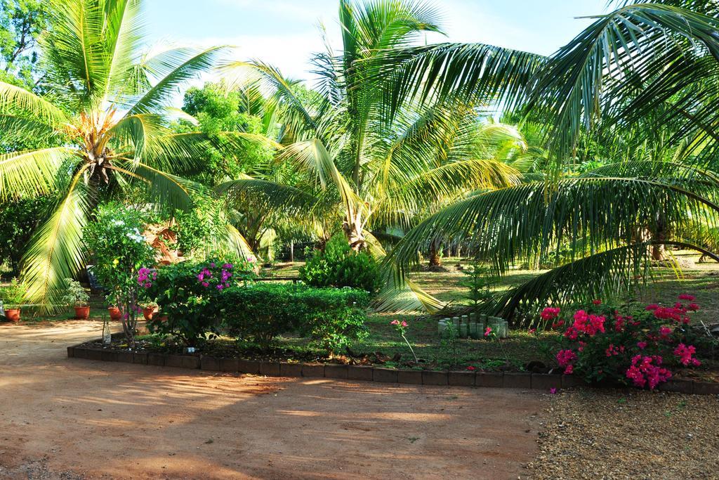Hotel Coconut Garden House Udawalawe Exterior foto