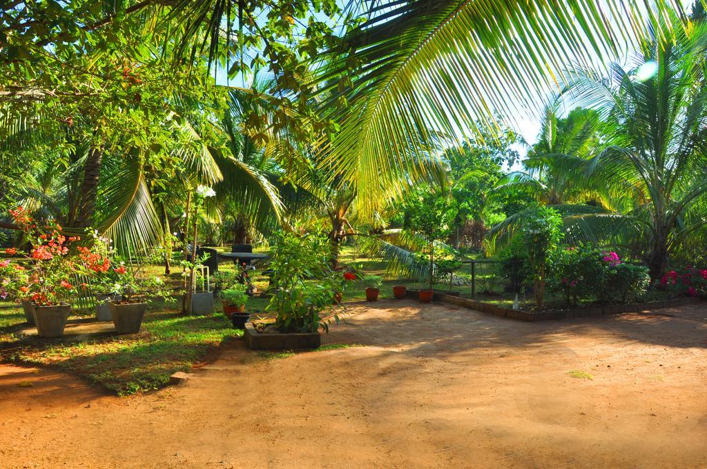 Hotel Coconut Garden House Udawalawe Exterior foto