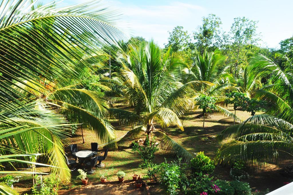 Hotel Coconut Garden House Udawalawe Exterior foto